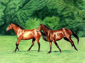 Mares and Foals, Equine Art - Back Forty